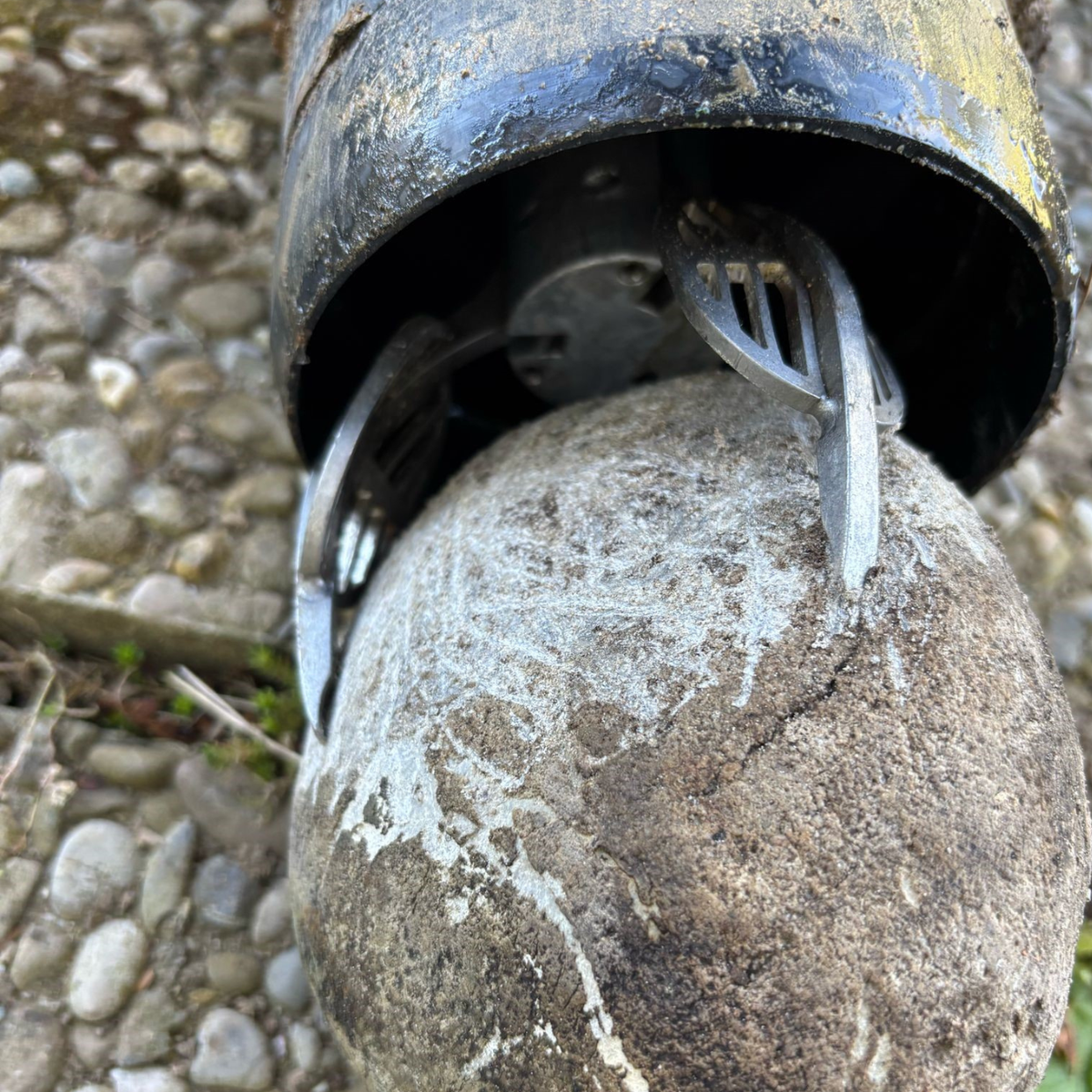 Pneumatischer Greifer "Cobra-Catcher" - komplett